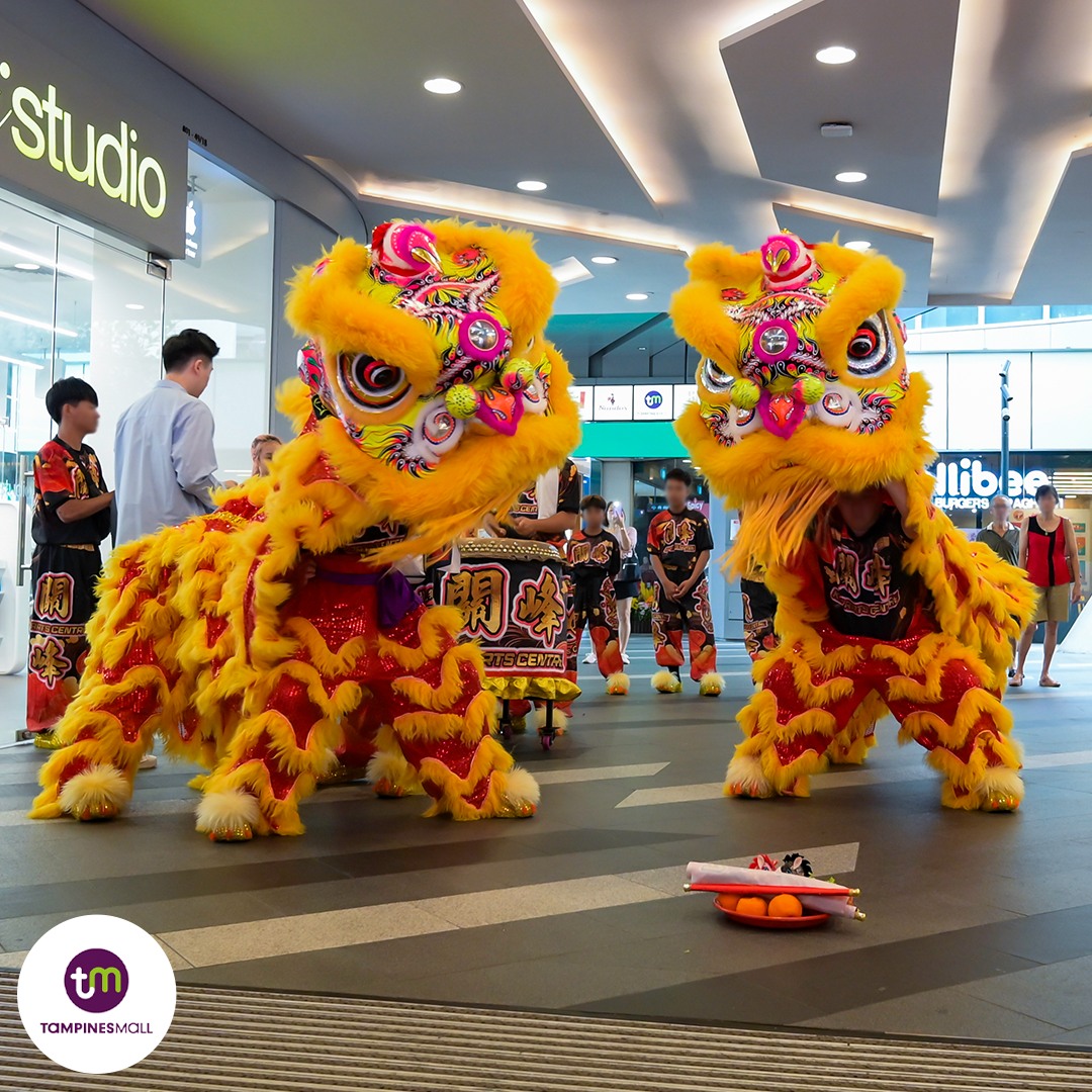 The vibrant lion dance troupe performing at Tampines Mall