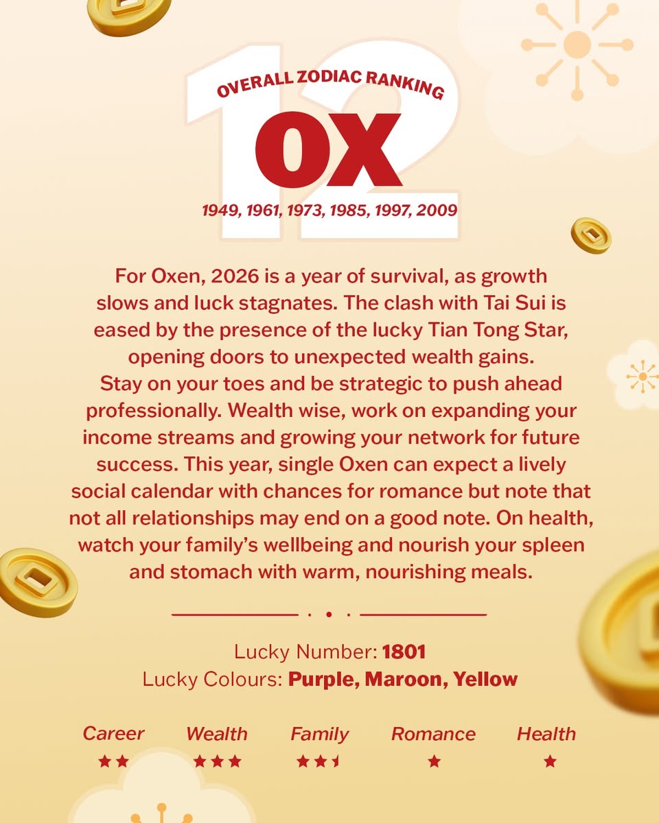 Year of the Horse 2026 Celebration