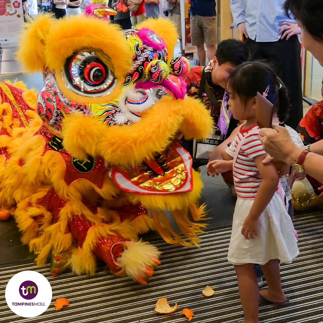 The enthusiastic crowd gathered to watch the festive performance