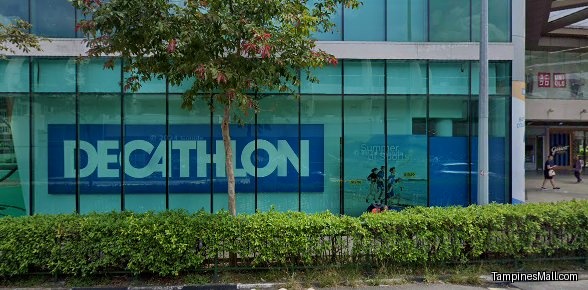 Kallang Airport Wanton Noodle