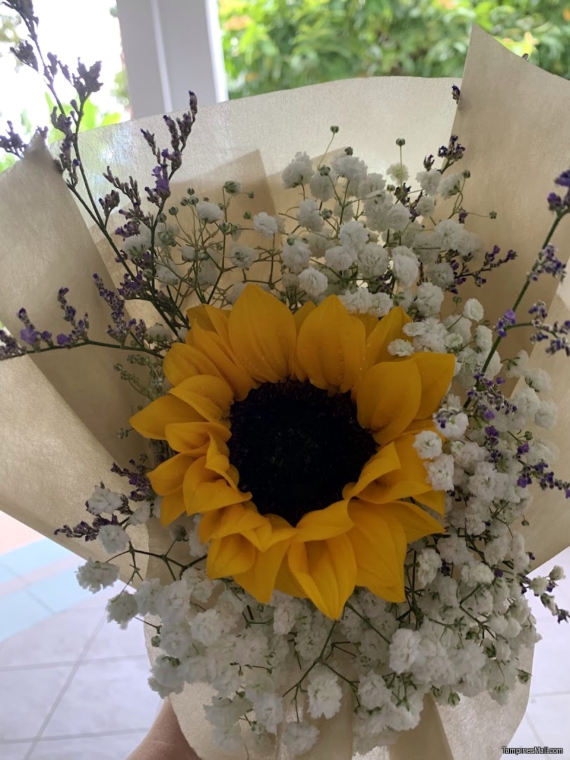 Xpressflower - Image 23