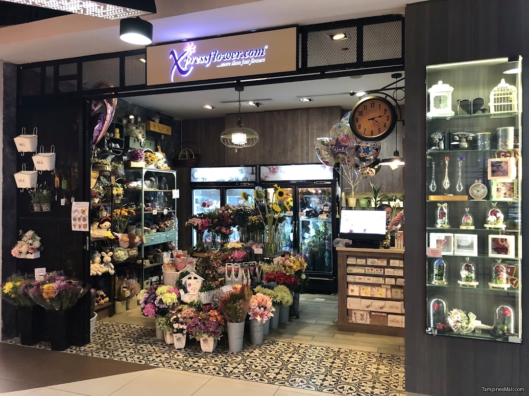Xpressflower - Image 15